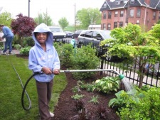 Homeowner Incentive Program